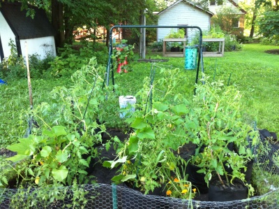 Organic Gardens on Organic Garden